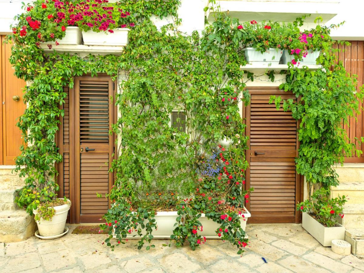 Appartamento Youse - Your House In Locorotondo Esterno foto